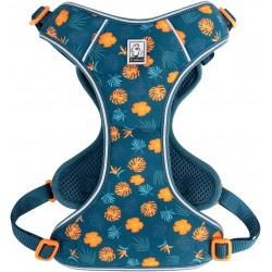 HARNAIS CHIHUAHUA - SPITZ- YORKSHIRE- PEKINOIS- PINSCHER- TECKEL- SHIH TZU- CANICHE- SOFT + LAISSE