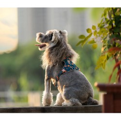 HARNAIS CHIHUAHUA - SPITZ- YORKSHIRE- PEKINOIS- PINSCHER- TECKEL- SHIH TZU- CANICHE- SOFT + LAISSE