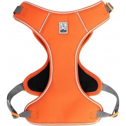 HARNAIS CHIHUAHUA - SPITZ- YORKSHIRE- PEKINOIS- PINSCHER- TECKEL- SHIH TZU- CANICHE- SOFT + LAISSE