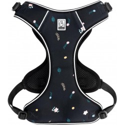 HARNAIS CHIHUAHUA - SPITZ- YORKSHIRE- PEKINOIS- PINSCHER- TECKEL- SHIH TZU- CANICHE- SOFT + LAISSE