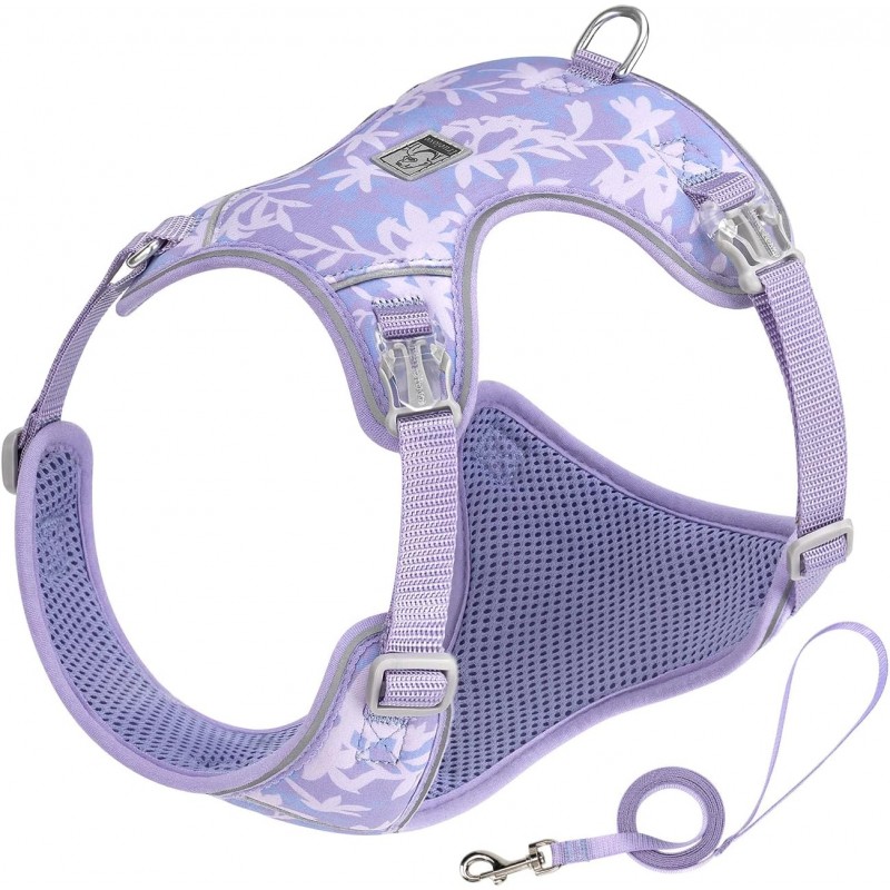 HARNAIS CHIHUAHUA - SPITZ- YORKSHIRE- PEKINOIS- PINSCHER- TECKEL- SHIH TZU- CANICHE- SOFT + LAISSE