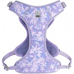 HARNAIS CHIHUAHUA - SPITZ- YORKSHIRE- PEKINOIS- PINSCHER- TECKEL- SHIH TZU- CANICHE- SOFT + LAISSE