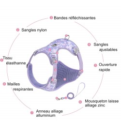 HARNAIS CHIHUAHUA - SPITZ- YORKSHIRE- PEKINOIS- PINSCHER- TECKEL- SHIH TZU- CANICHE- SOFT + LAISSE