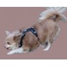 HARNAIS CHIHUAHUA - SPITZ- YORKSHIRE- PEKINOIS- PINSCHER- TECKEL- SHIH TZU- CANICHE- SOFT + LAISSE