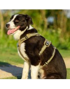 HARNAIS WINHYEPET ANTI FUGUE